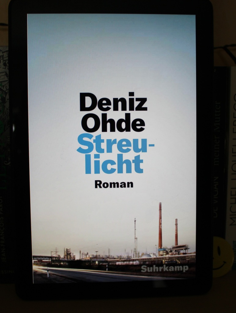 E-Book-Cover von Deniz Ohdes "Streulicht".