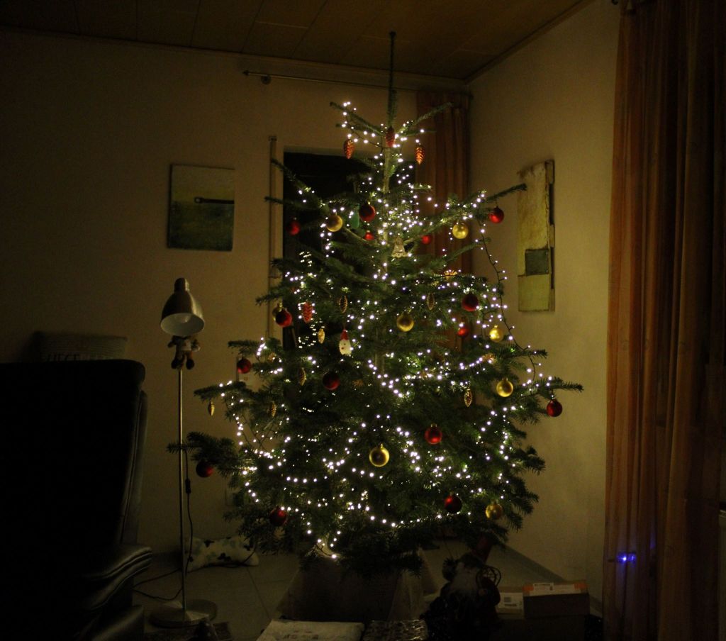 Beleuchteter Weihnachtsbaum im ansonsten dunklen Wohnzimmer.