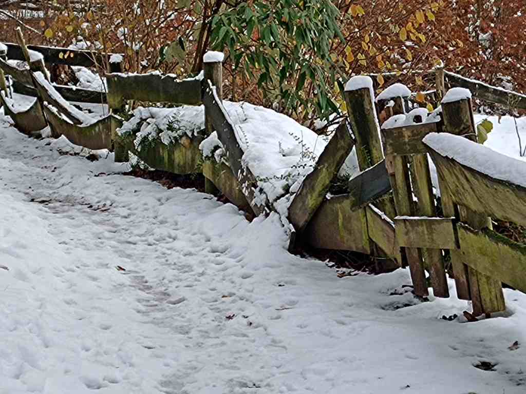 Durch das Gewicht von Schnee zerbrochene Holzbretter eines Zauns.