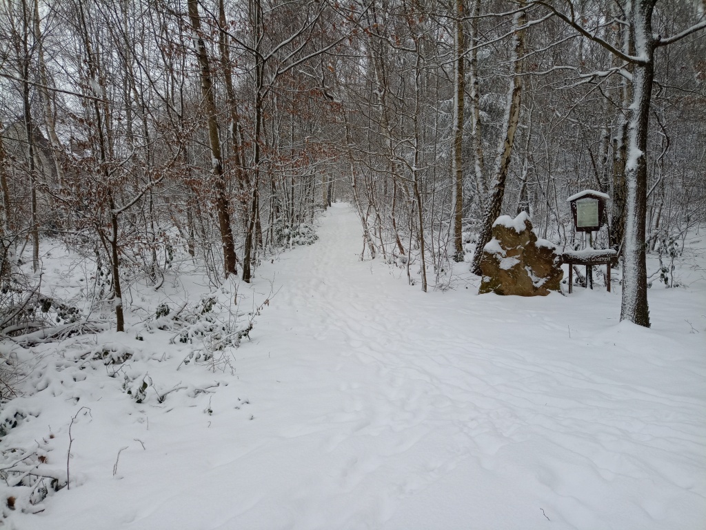Schmaler Waldweg mit viel Schnee, rechts steht ein großer Stein.