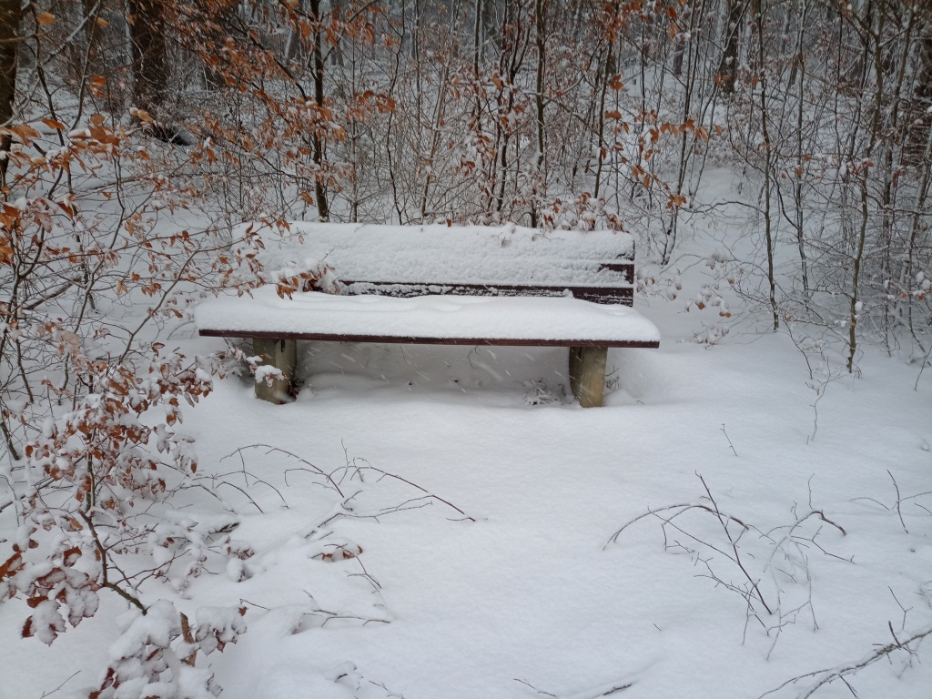 Schneebedeckte Sitzbank.