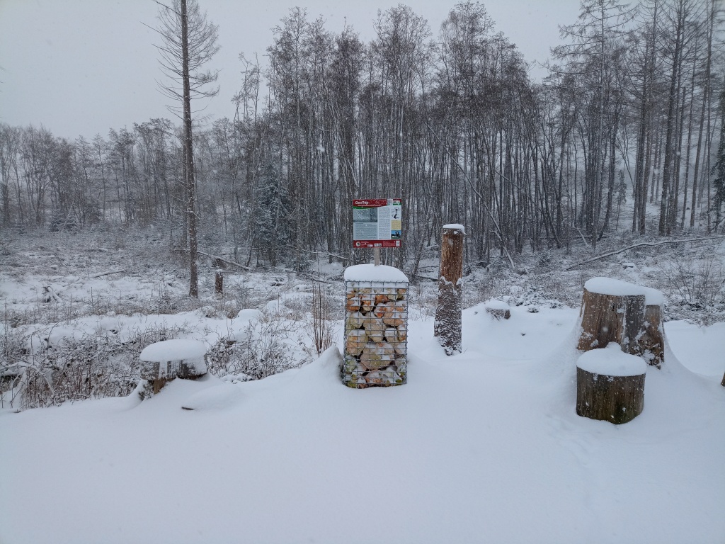 In Draht eingeflochtene Säule aus losen Steinen mit Info-Schild darauf, im Hintergrund einige Bäume. Überalls Schnee.